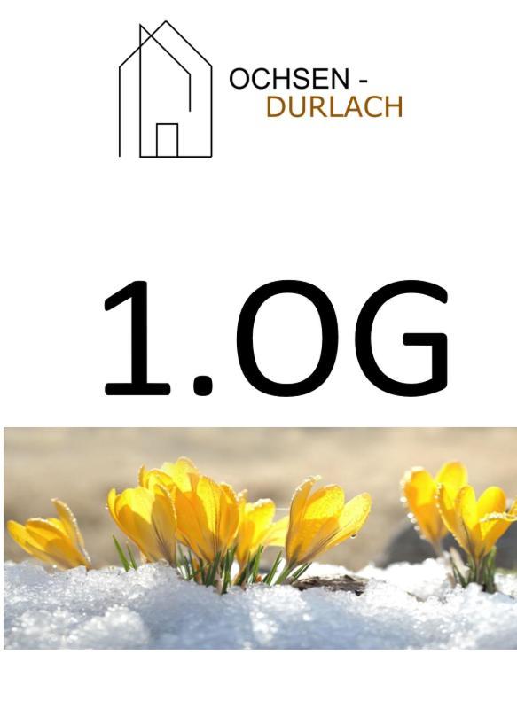 Ochsen-durlach Apartment *